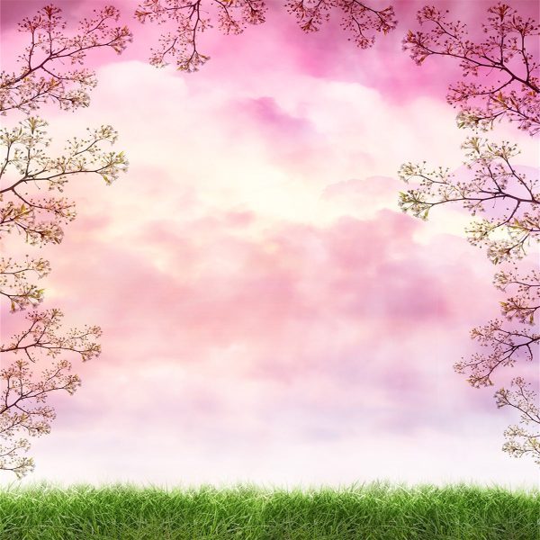 Toile de fond de branches de printemps décors de nuages roses Online – Bild 2